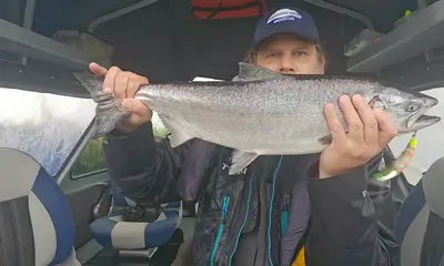 First Spring Chinook Have Arrived!