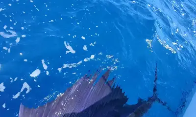 San Juan Report Video 0