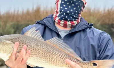 Darien Report Video 0