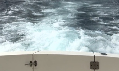 \u2b50\u2b50\u2b50\u2b50\u2b50 Big Marlin \u2014 Review