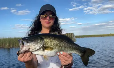 Belle Glade Verslag Video 0