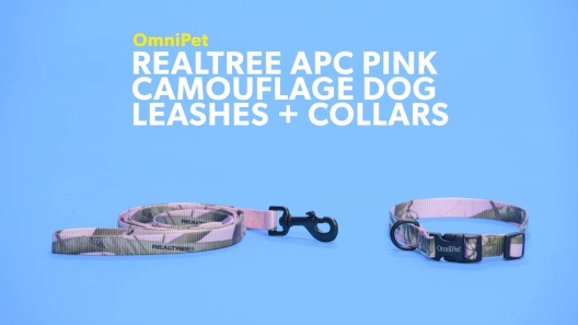 Play Video: Learn More About OmniPet From Our Team of Experts