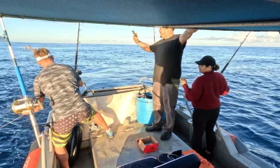 Haleiwa Report Video 0