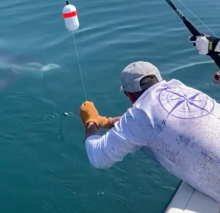 Business Card: The Struggle Is Reel Charters