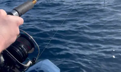 Funchal Report Video 0