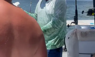 Shark expert!