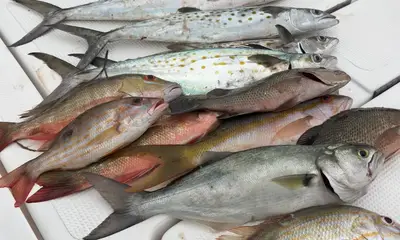 Great captain and day in Islamorada