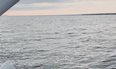 Sheffield Lake Report Video 0