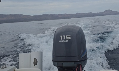 Blue Marlin Caught!
