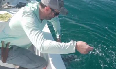 San Jose del Cabo Report Video 2