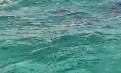 Playa Del Carmen Verslag Video 1