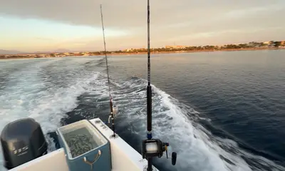 highly recommend\u975e\u5e38\u63a8\u8350\u7684\u6d77\u9493\u884c\u7a0b