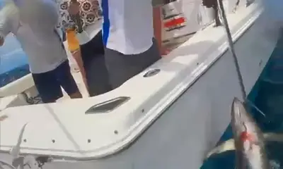 Epic trip