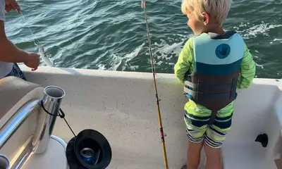 Nothing Blue about it. 