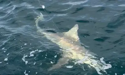 May fishing trip