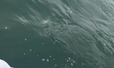 Gulfport Report Video 0
