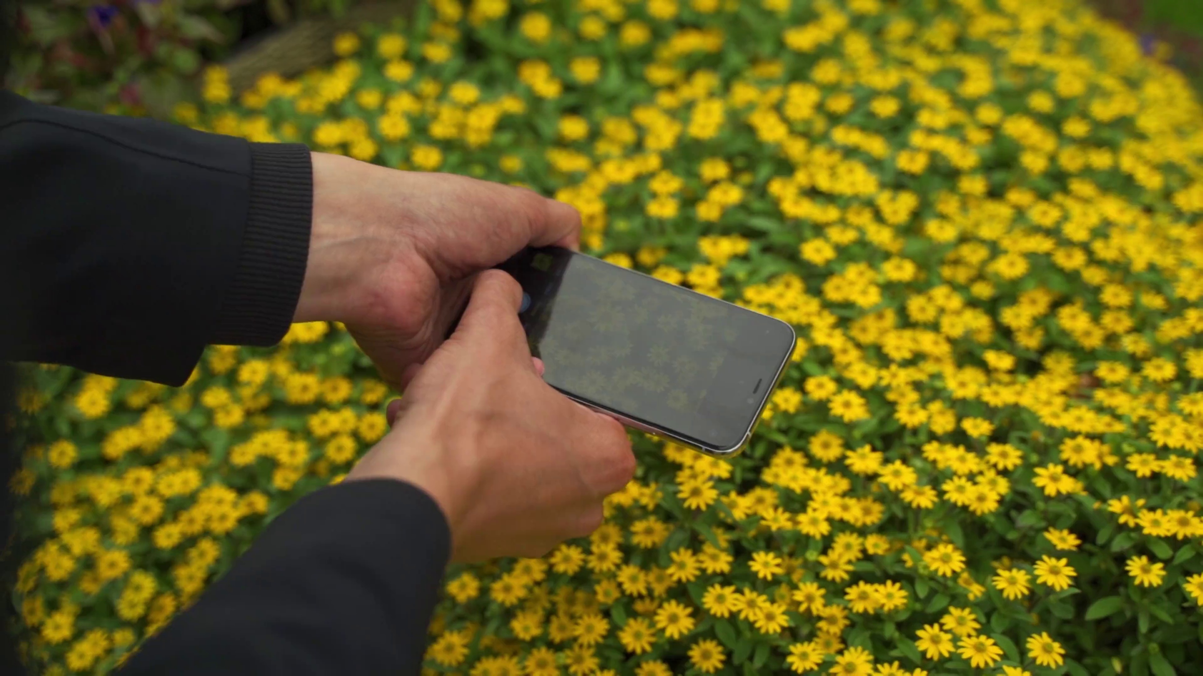 iPhone Photography School Online Courses