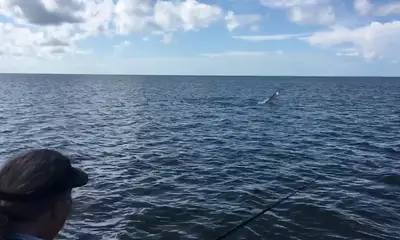 Chokoloskee Report Video 0