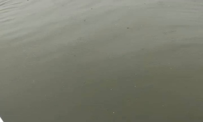 Portland Report Video 1