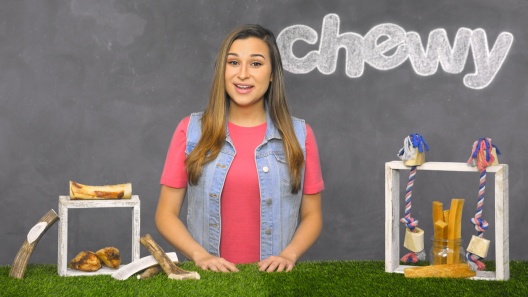 Play Video: Learn More About Bones & Chews From Our Team of Experts