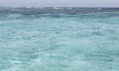 My familys favorite trip in Belize