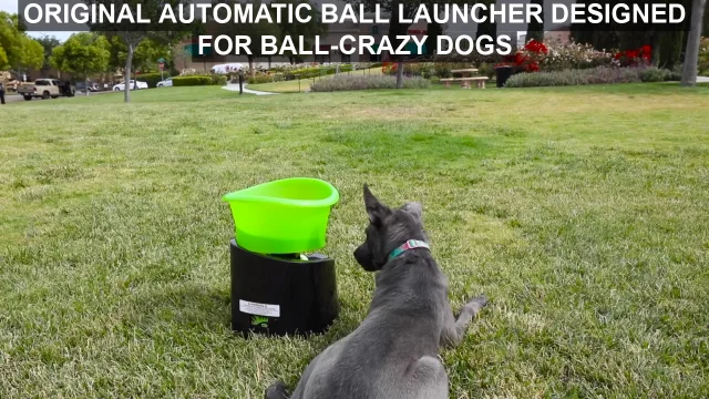 Hyper Pet Godoggo Fetch Machine G5 Rechargeable Ball Launcher Interactive Dog Toy Chewy Com - Diy Auto Ball Launcher For Dogs