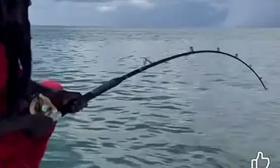 My boy hood has something to say!!!!!