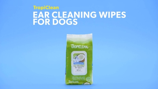 Play Video: Learn More About TropiClean From Our Team of Experts