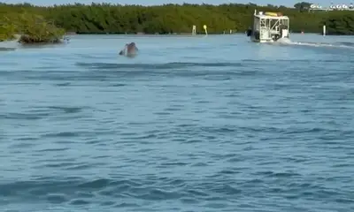 Highlight of our vacation