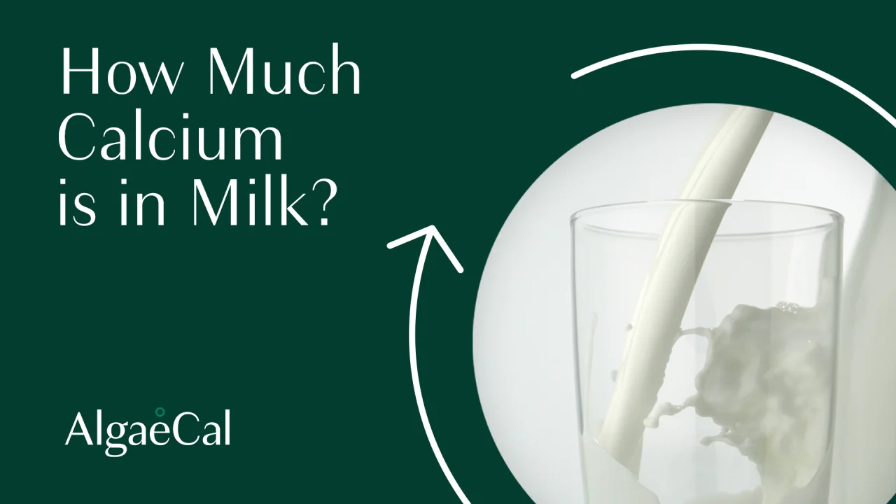 How Much Calcium is in Milk? Popular Milk Types Compared | AlgaeCal How Much Calcium is in Milk? Popular Milk Types Compared | AlgaeCal
