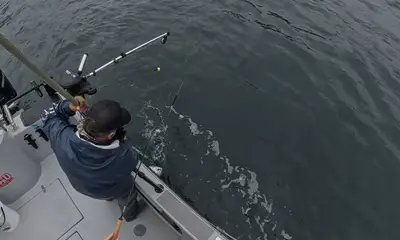 Seward Report Video 2