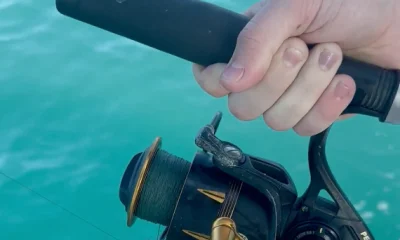 Key West Report Video 0