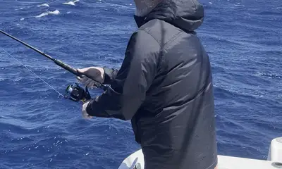 Singer Island Report Video 2