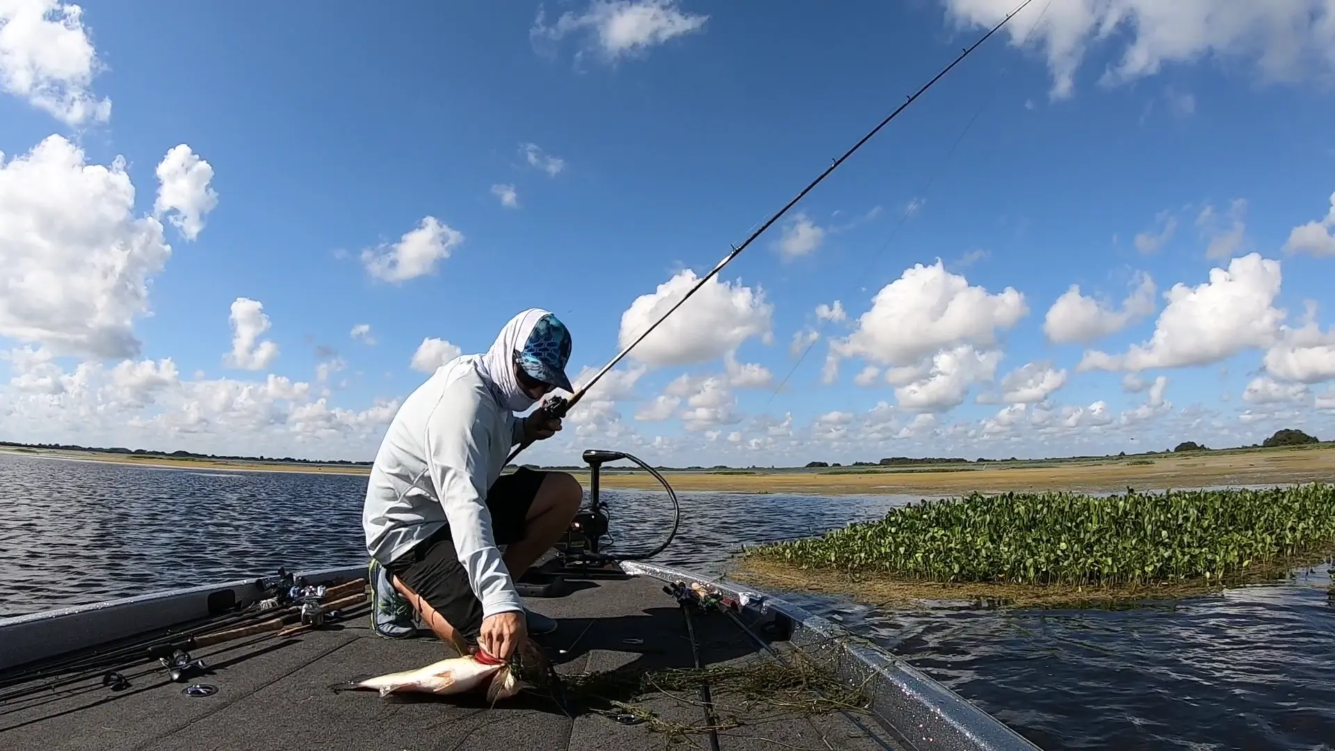 Business Card: Fish Hand Guide Service  Headwaters Lake