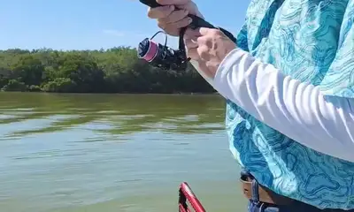 Tampa Report Video 0