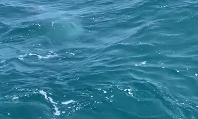 Wilmington Report Video 0