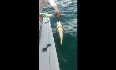 Bay Pines Report Video 0