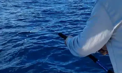 Playa Del Carmen Report Video 0