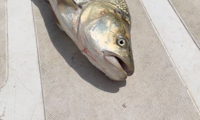 More than just a fishing trip