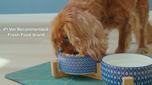 JustFoodForDogs JustFresh Human Grade Home-Cooked Chicken Recipe Wet Dog Food, 12-oz pouch