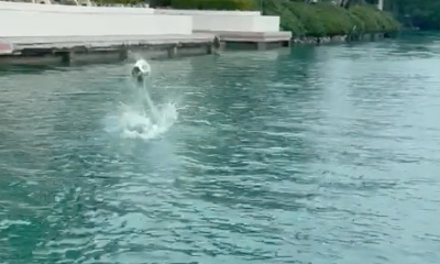Islamorada Report Video 0