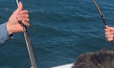 Point Judith Report Video 1