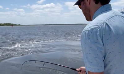 Jacksonville Report Video 0