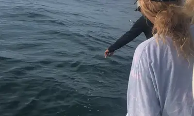 Marathon Report Video 0