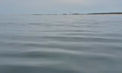 The real deal: Where every catch is off the scales!