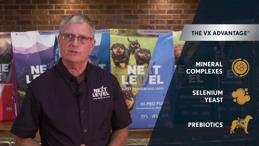 Next Level Super Premium Pet Food Hi-Pro Puppy Gluten-Free Beef Dry Dog Food