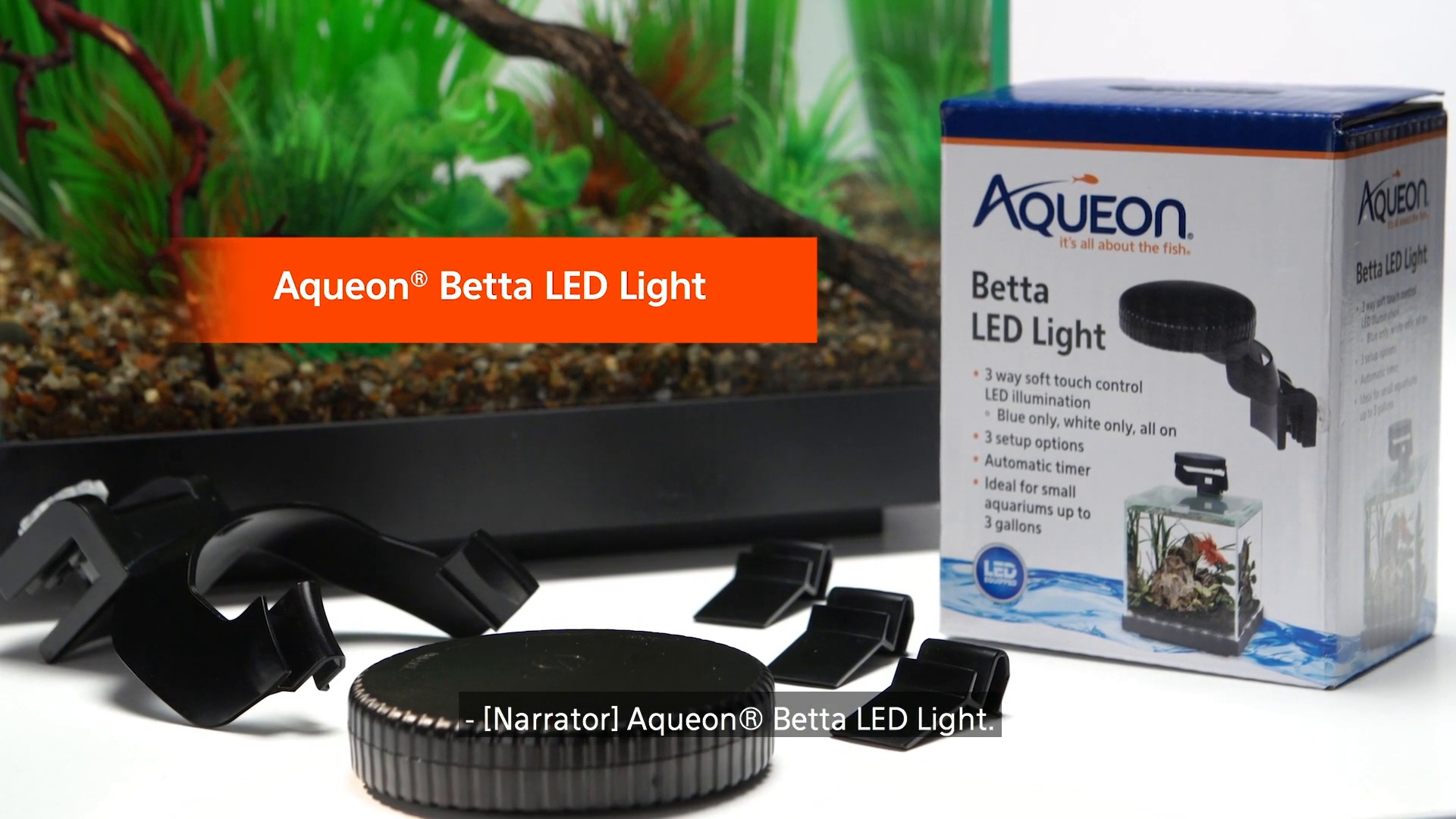 AQUEON Betta LED Fish Aquarium Light Chewy