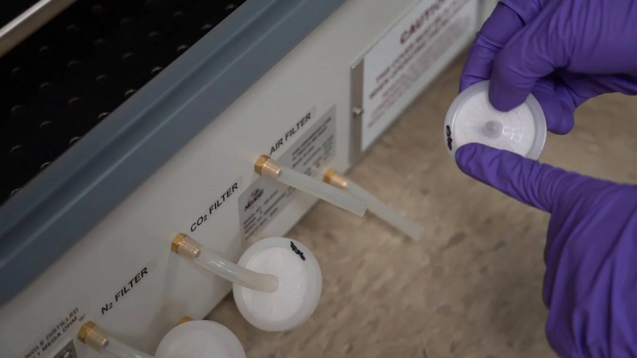 CO2 Incubator Changing the Disk Filters | NuAire