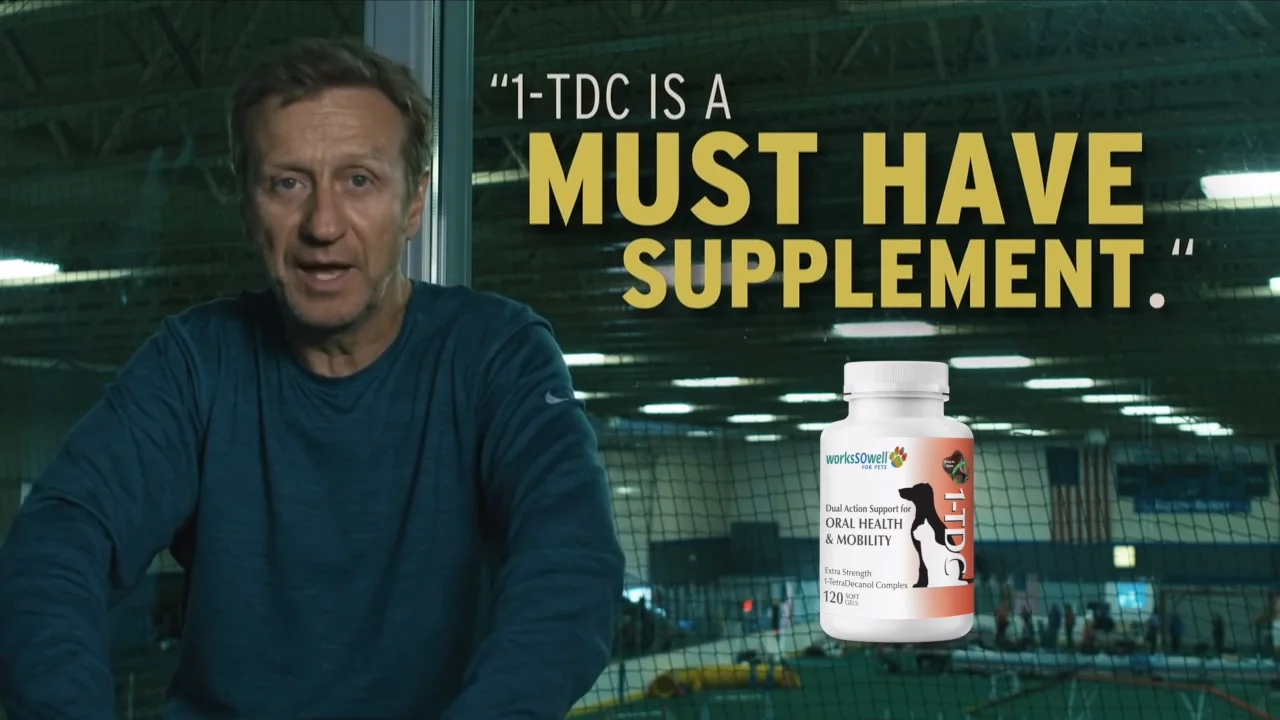 1-TDC Official Joint Supplement of IDS