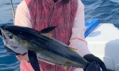 Cabo San Lucas Report Video 0